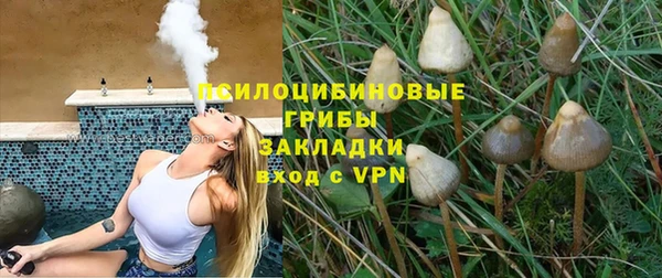 а пвп мука Тавда